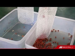 Trieuse de couleur d'arachide